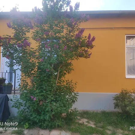 Apartment Helle Zentrumsnah *